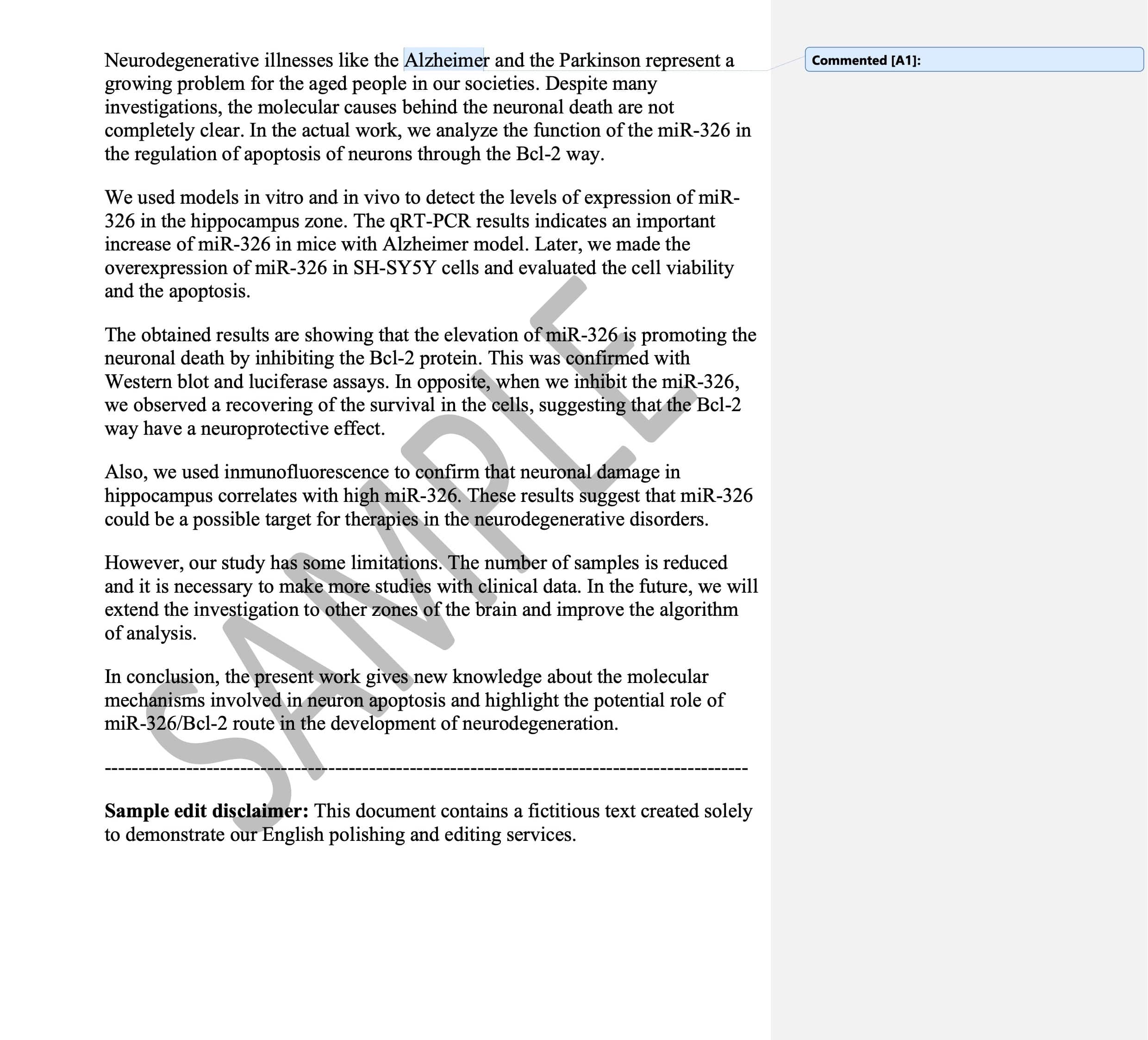 Sample manuscript excerpt before professional editing